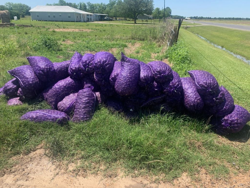 Snail sacks